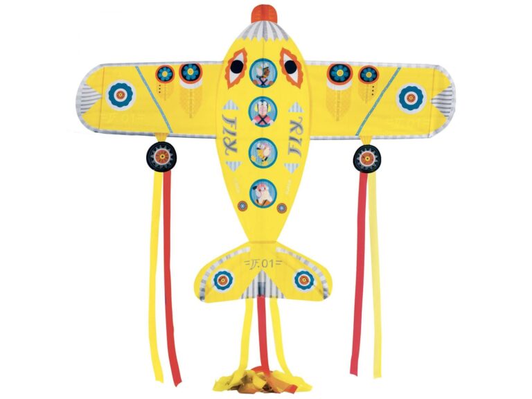 maxi plane