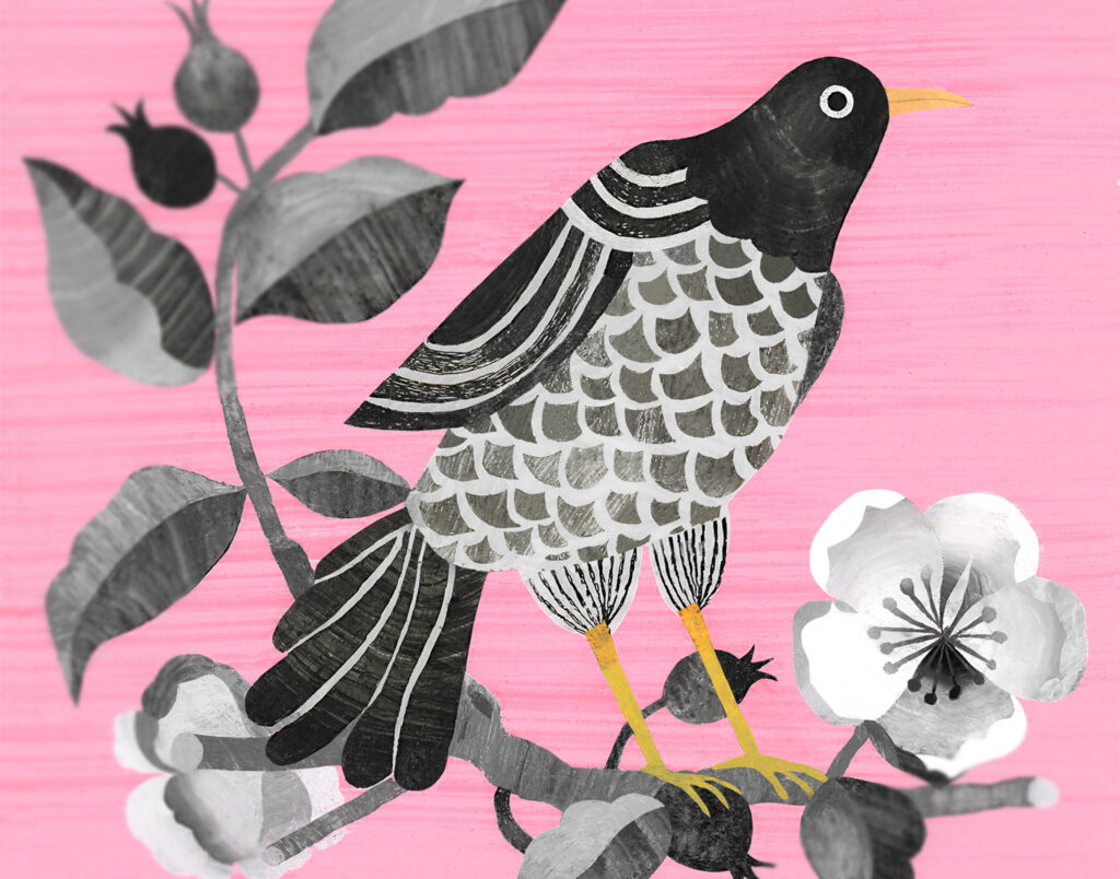 Birds, Annabelle Buxton (3/4)
