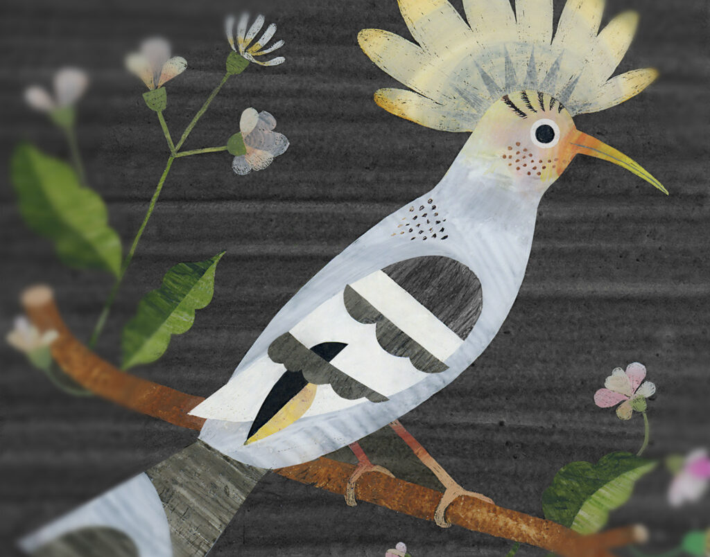 Birds, Annabelle Buxton (4/4)