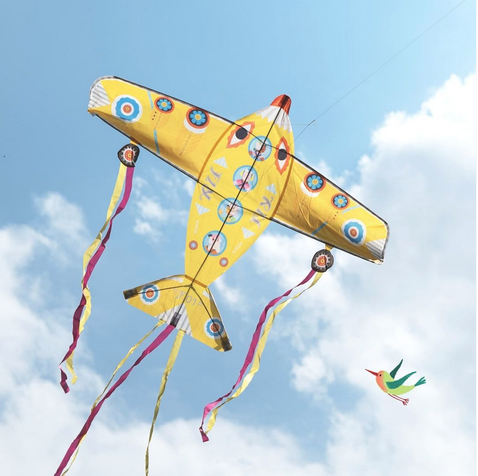 maxi plane, Annabelle Buxton (2/2)