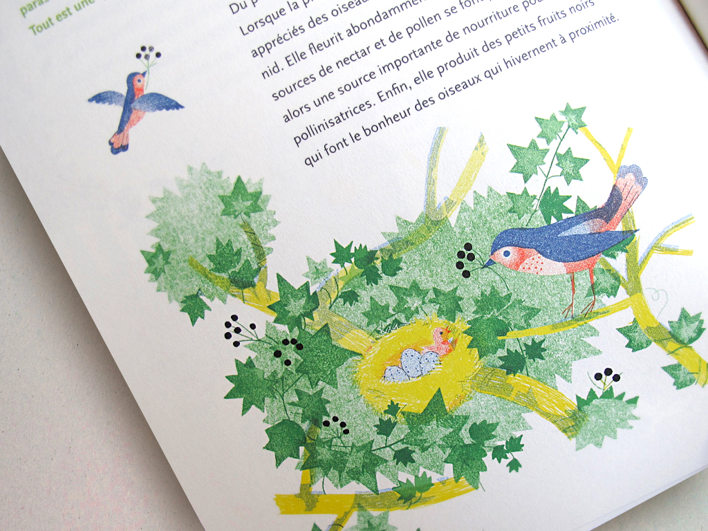 La Pointeuse Botanique, Annabelle Buxton (6/15)