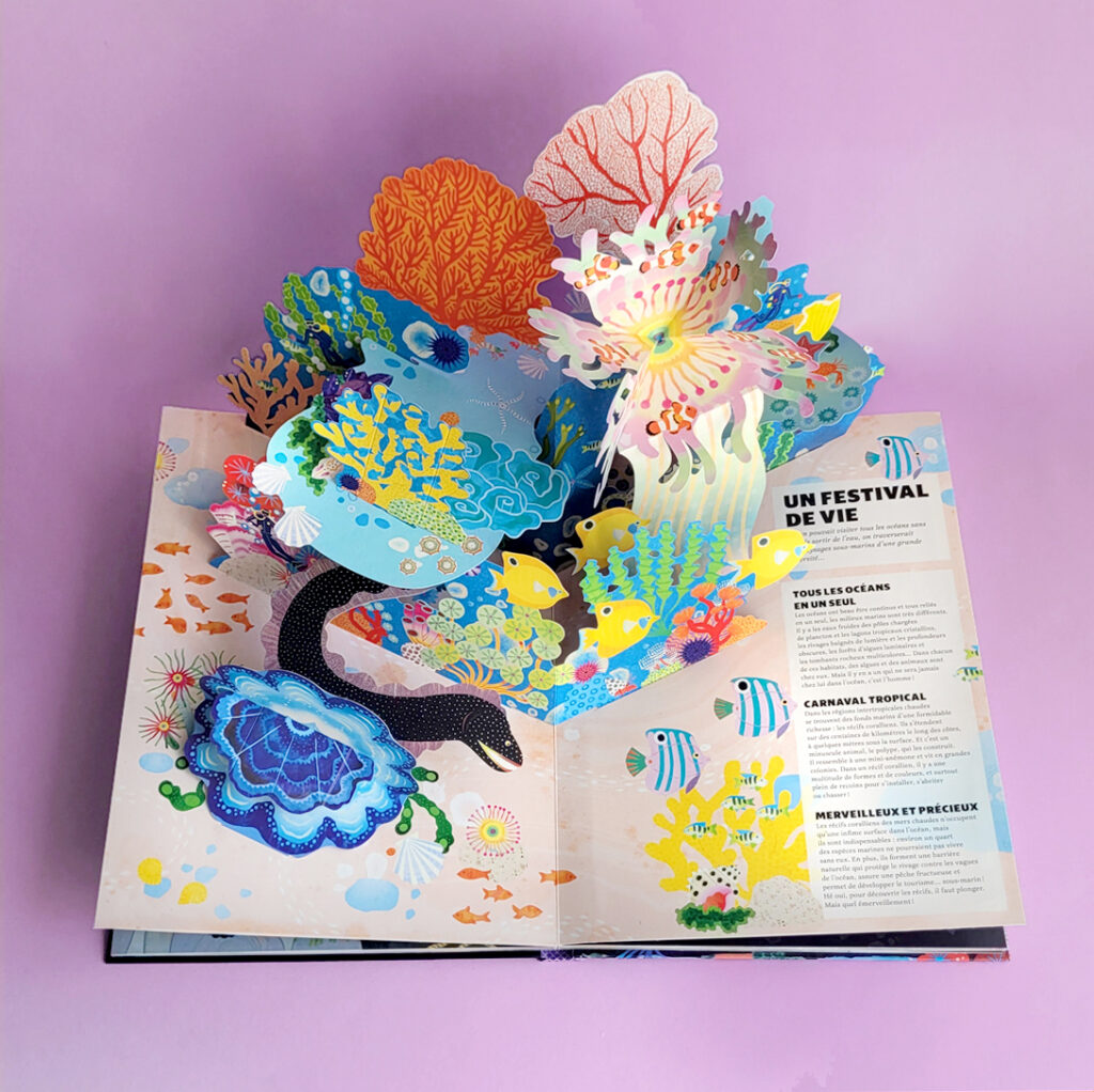 pop-up océan, Annabelle Buxton (4/12)
