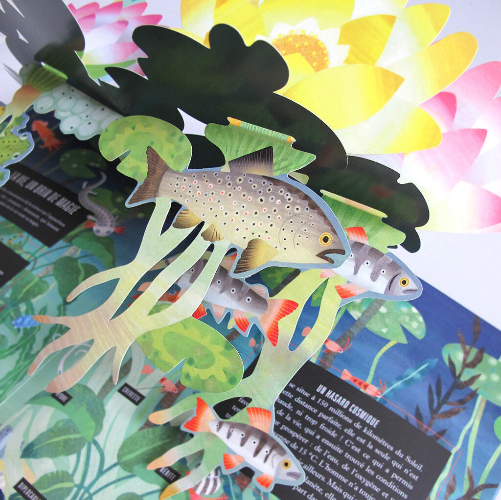 Pop-Up Terre, Annabelle Buxton (10/10)