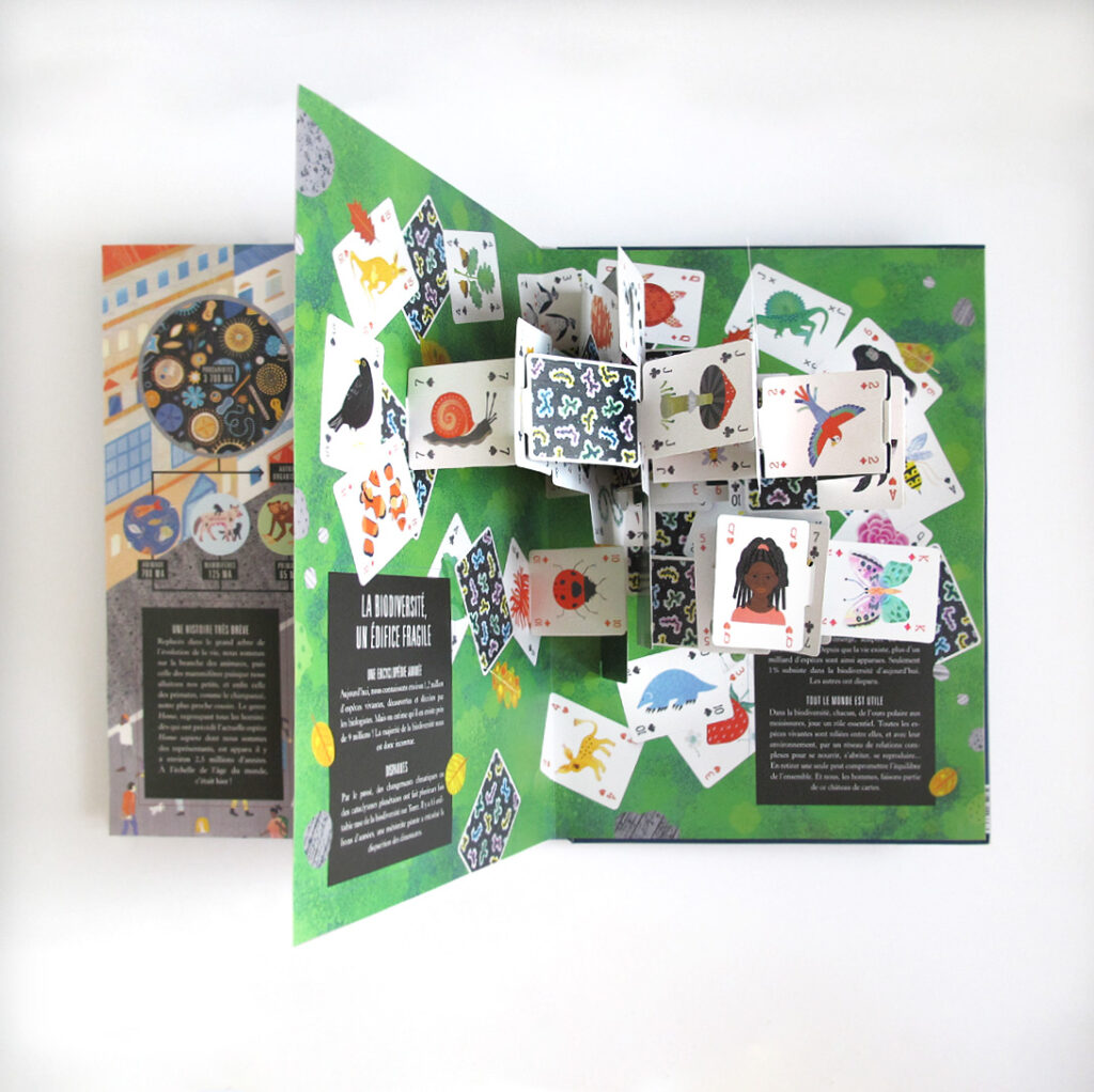 Pop-Up Terre, Annabelle Buxton (7/10)