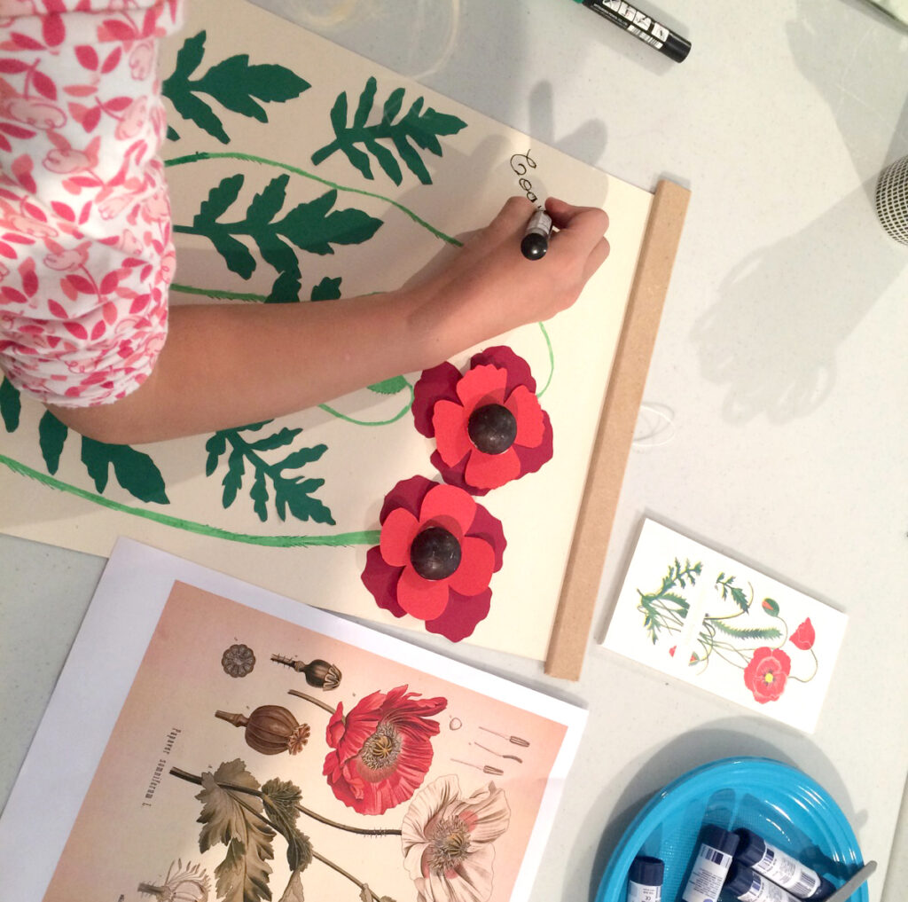 Planche Botanique, Annabelle Buxton (2/8)